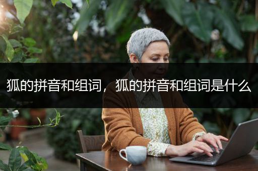 狐的拼音和组词，狐的拼音和组词是什么